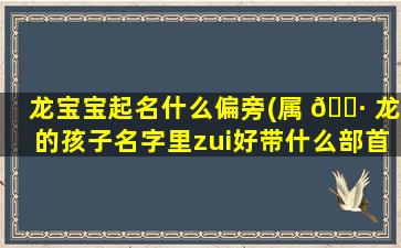 龙宝宝起名什么偏旁(属 🌷 龙的孩子名字里zui
好带什么部首)